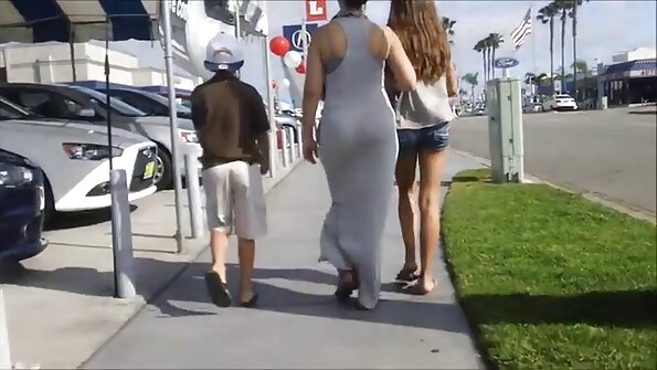 Leidenschaftlich liebend für einen Puma im ganzen Haus